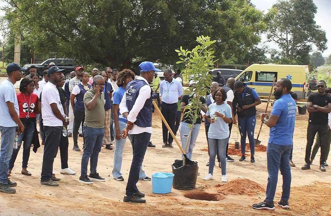 ZEE Luanda-Bengo Reforça Sustentabilidade com Plantação de Mais de Mil Árvores